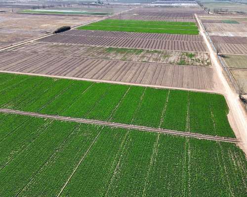 Finca de 32 HA. Paramillo, Lavalle. Oportunidad