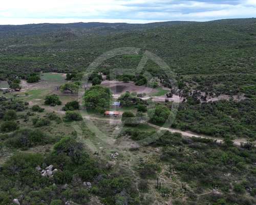 Campo Mixto en Venta- 3.068 Ha en San Pedro Norte, Córdoba
