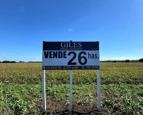Campo Agrícola 26 Has