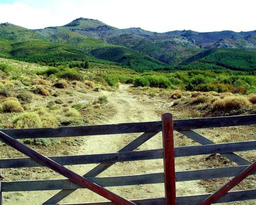 Fields y Land Opportunities Across Argentina