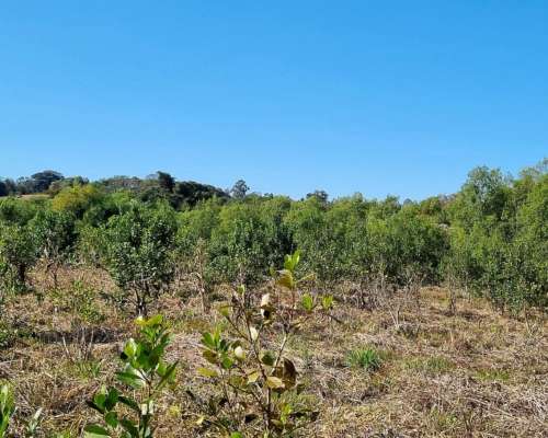 Chacra de 25 Ha Aristóbulo del Valle