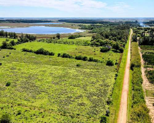 2000 Hectareas Frente a Ruta Nacional