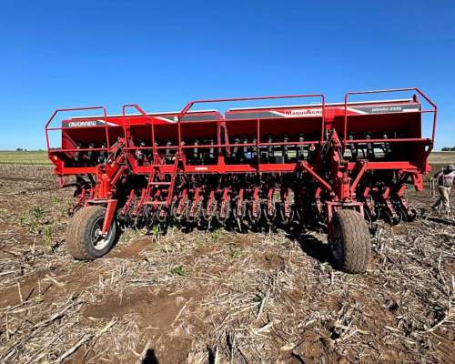 S. G. Grueso Crucianelli Gringa 7035 23 a 35 Precision Plant