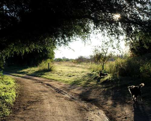 Chacra de Nogales en Traslasierra, Córdoba.