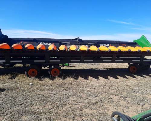 Maicero Stara Brava + de 16 a 52 Nuevo