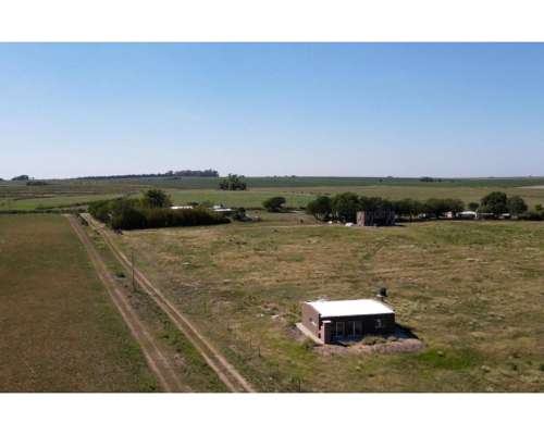Vendo Campo 3ha con Casa y Galpón, Ideal Microemprendimiento