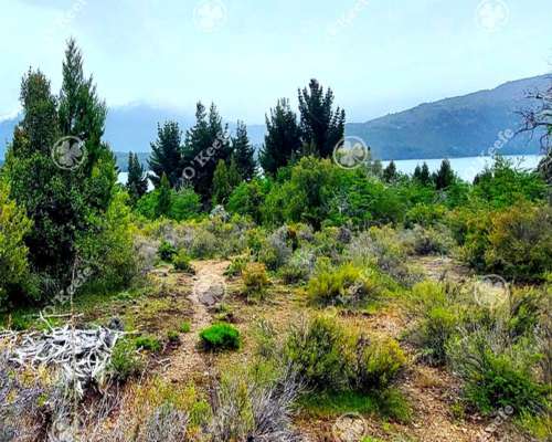 Chacra en Venta 9 Has con Costa Lago Lezana, Cholila, Chubut