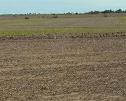 66 HA. Zona Hernández. Agrícola sin Desperdicio