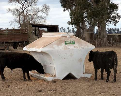 Comedero Autoconsumo 4.500 Kg Rotor