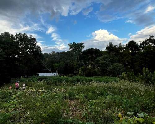 🌿🏡 Oportunidad Única – Vendo Chacra de 6 Hectáreas 🏡🌿