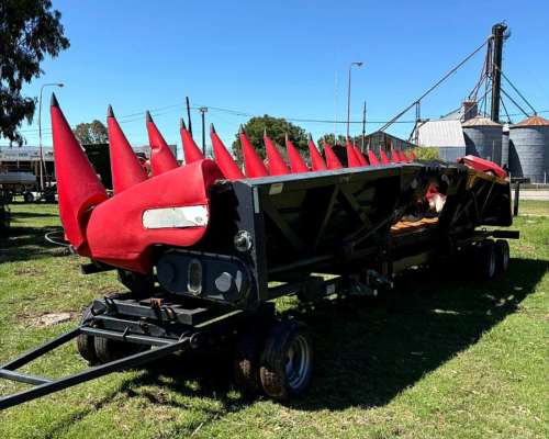 Maicero 16/52 Ombu cm 2020