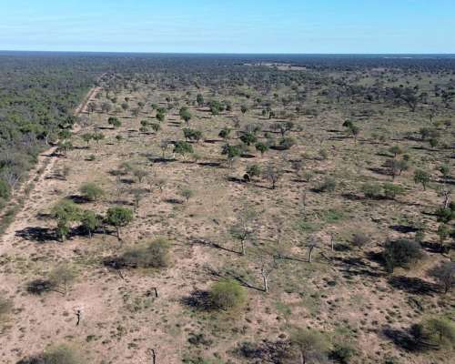 Campo 3.475 Ha en Campo Gallo, Alberdi, Santiago del Estero