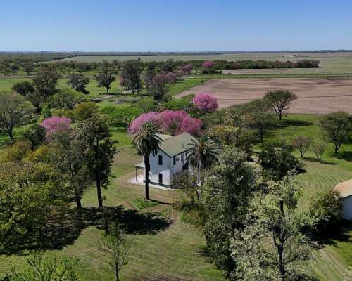 La Sarita, General Obligado, Santa FE - 11.209 Ha
