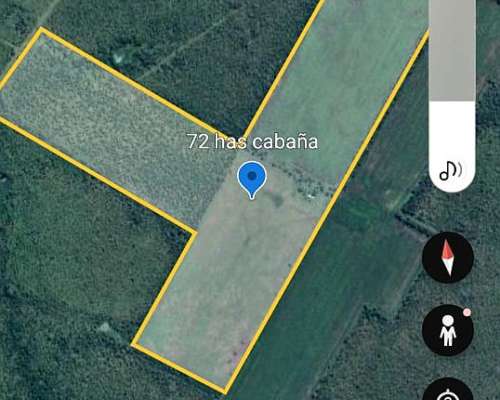 Bovril y Colonia Avigdor Entre Rios Campo Agricola