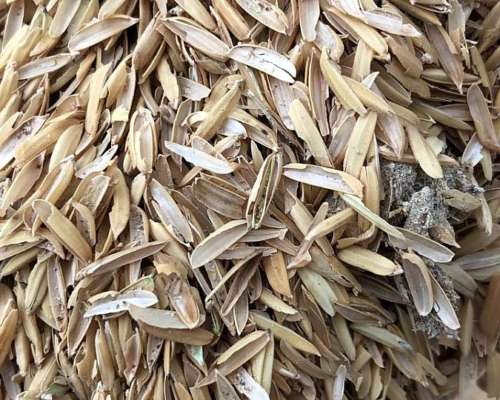 Megafardos de Cáscara de Arroz - Lasna Insumos - MÍN 24 TN