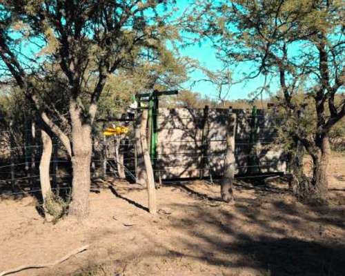 7.387 Ha Cuchillo CO, la Pampa