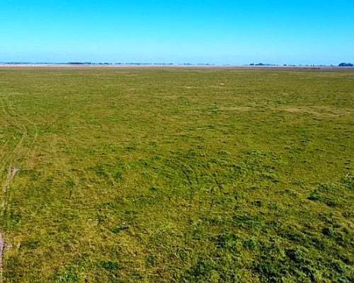 Vendo Campo Mixto en Suipacha 150 Has