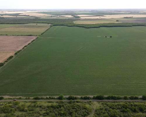 525 Hectáreas Agrícolas Sobre Ruta, San Marcial.