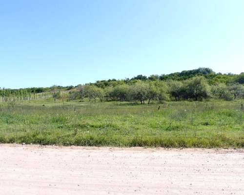 Baradero, Buenos Aires - 15 Ha