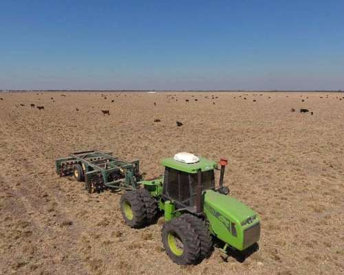 Pinto, Aguirre, Santiago del Estero - 4.593 Ha