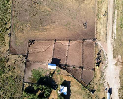 Ba1613 Ganadero 3.700 Has