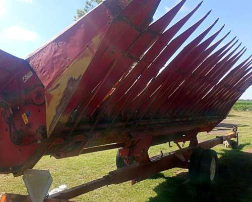 Girasolero 10 a 70 - Mainero 1040