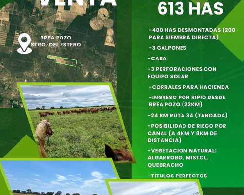 Brea Pozo, 613 Has Mixto