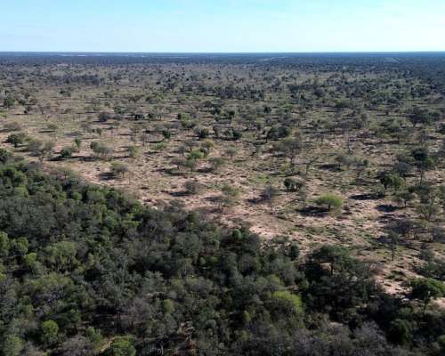Campo 3.475 Ha en Campo Gallo, Alberdi, Santiago del Estero