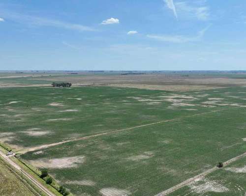 Pcia. de Buenos Aires - Carmen de Areco 66 Has