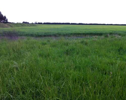 370 Has Agricolas Loberia, BS AS