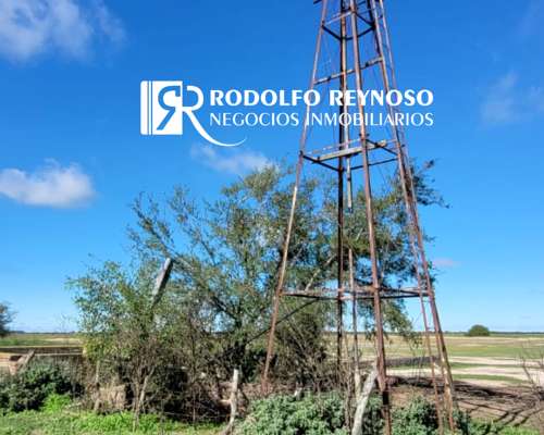 700 HA. en Gualeguaychú, Entre Ríos