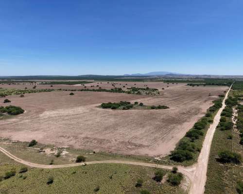 Juan Martin de Pueyrredón, San Luis - 2.350 Ha
