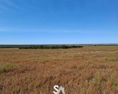 Vende: Campo Mixto de 681 Hectáreas en Naicó, la Pampa