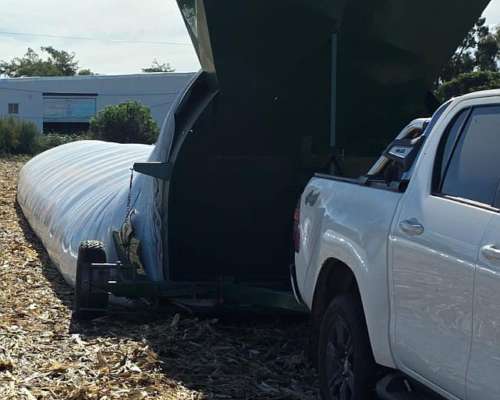 Embolsado de Granos Secos