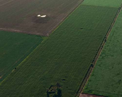 Gálvez 9 Has. Agrícolas. Campo en Venta. Oportunidad