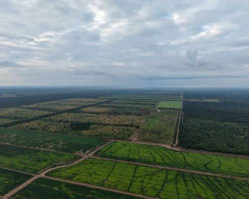 Pcia. de Santigo del Estero - Robles 3485 Ha