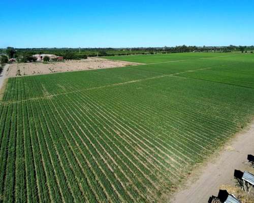 Finca de 49 Ha en Montecaseros