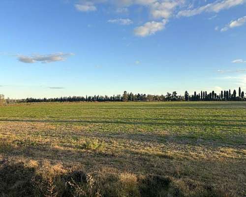 Campo de 20 Has Agrícolas en San Pedro, Asfalto y Luz.