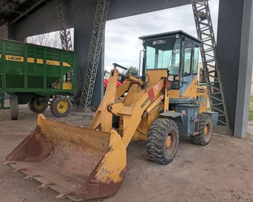 Pala Cargadora Michigan R50c