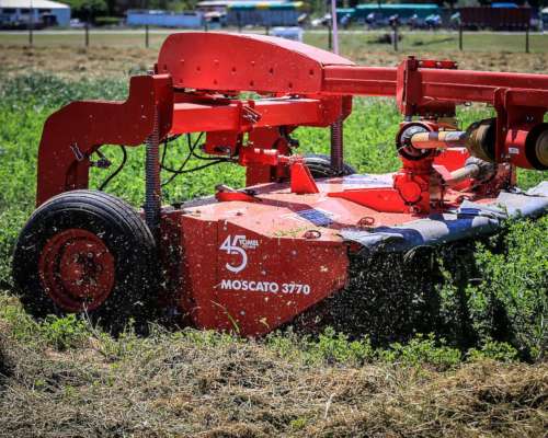 Segadoras Moscato 3770 con Acondicionador