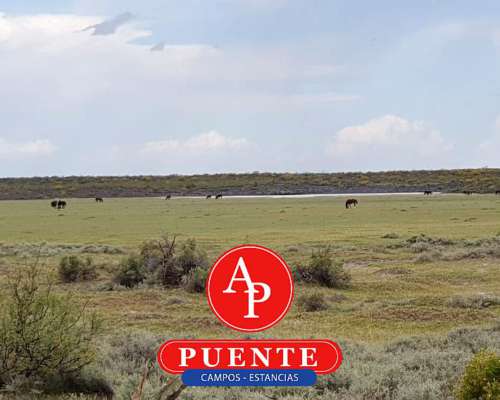 En Venta 12.500 HA. Puelén, la Pampa.