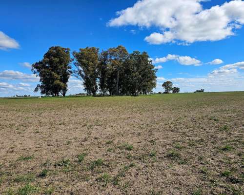 22 Ha Venta Pila Agricola Ganadero con Casa