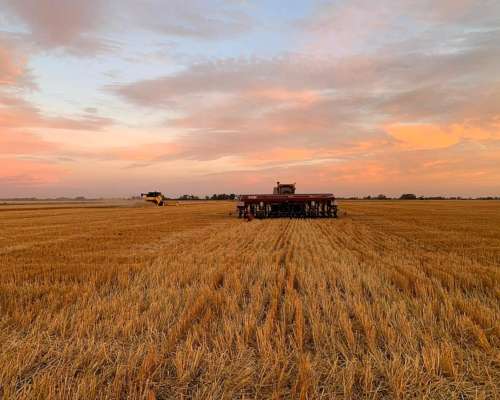 Siembras Asociadas Prov de BS AS