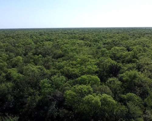 Muy Buen Campo de en el Bobadal