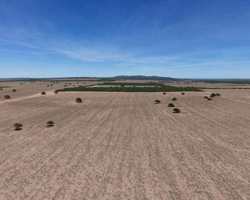 Juan Martin de Pueyrredón, San Luis - 2.350 Ha