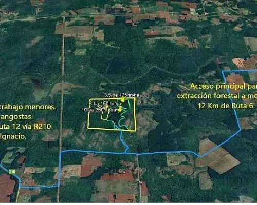 Se Vende 60 Ha con Pino y Arroyo Misiones.