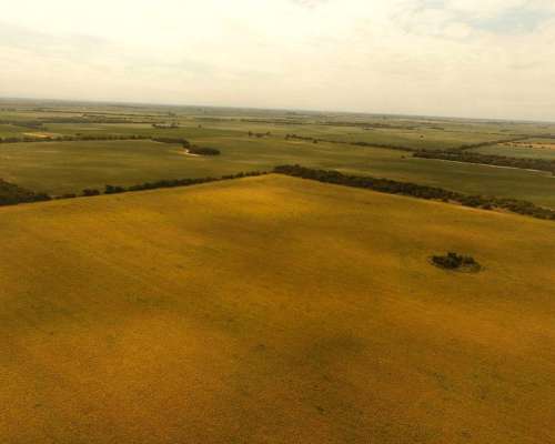 Campo en Venta en Rio Segundo, Córdoba