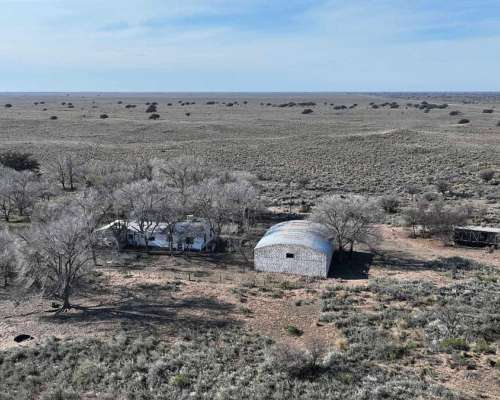Pcia. de la Pampa - Santa Isabel 20000 Ha