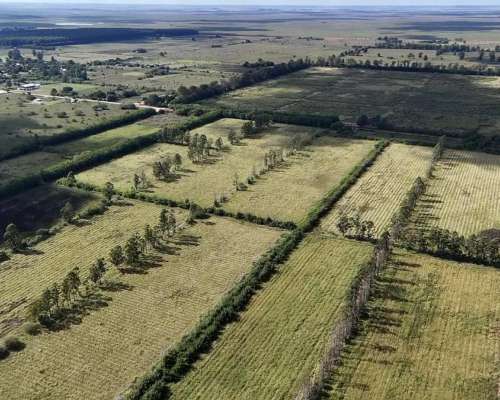 Colonia Pando, San Roque, Corrientes - 12 Ha