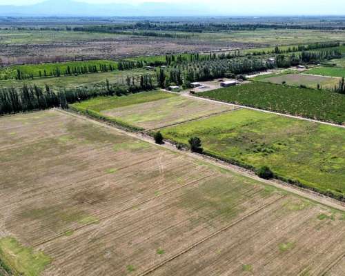 Finca de 32 con D° Riego y Pozos